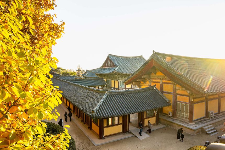 Red maple over the stone stairways and terraces of Bulguksa Temple.
