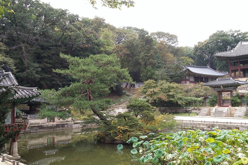 The pond and pavilion at the heart of Changdeokgung's rear garden.