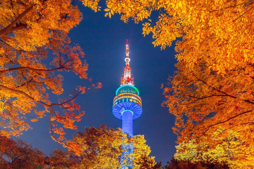 N Seoul Tower lit at dusk, framed by branches of golden autumn maple.